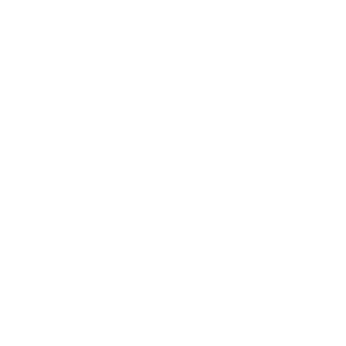 The Nordic Dutchman