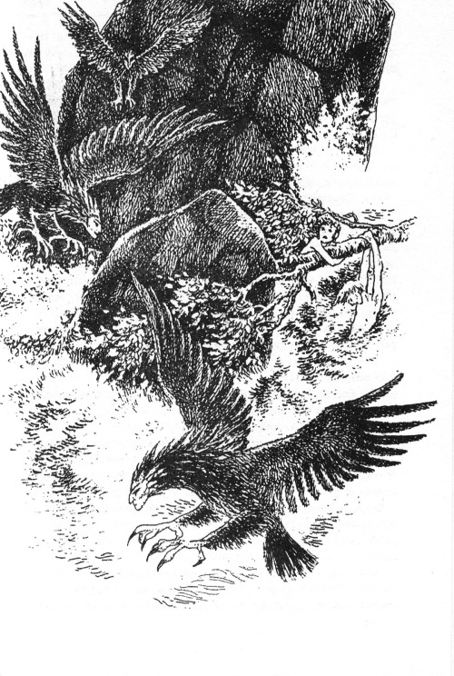 Een illustratie van de vogelheksen uit het Ronja de Roversdochter boek. 