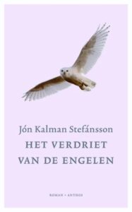 de cover van het boek Hemel en hel 2 Het verdriet van de engelen door Jón Kalman Stefánsson