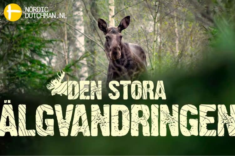 het logo van de grote elandenmigratie en een eland in zweden 